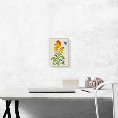 Wallflower with Blue Butterfly 1705
